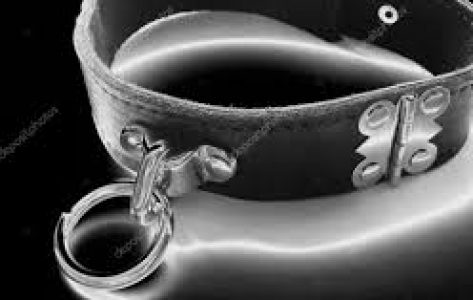 DoceArlequina – vida de uma submissa